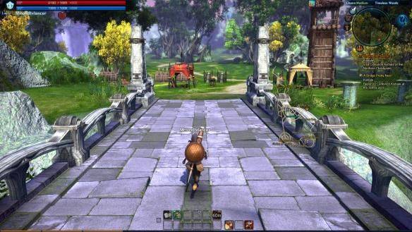 Tera mmorpg game